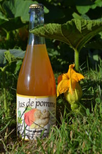 Pomme Gingembre